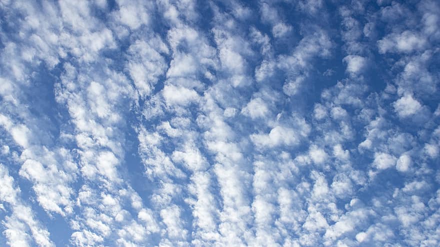 taivas, pilviä, kumpupilvi, pyöreitä pilviä, sinitaivas, valkoiset pilvet, cloudscape, skyscape, meteorologia, ilmapiiri, tausta
