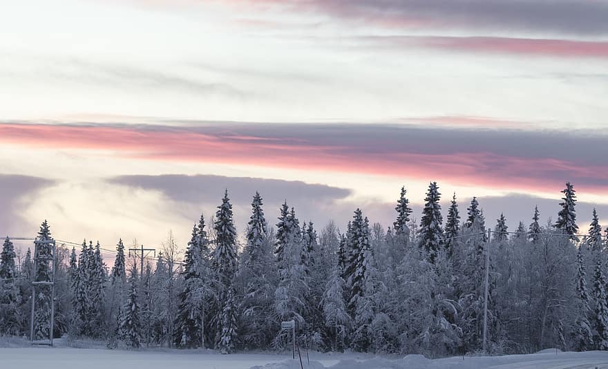 panorama, tarde, por do sol, inverno, Lapónia, Finlândia, floresta, neve, árvore, montanha, temporada