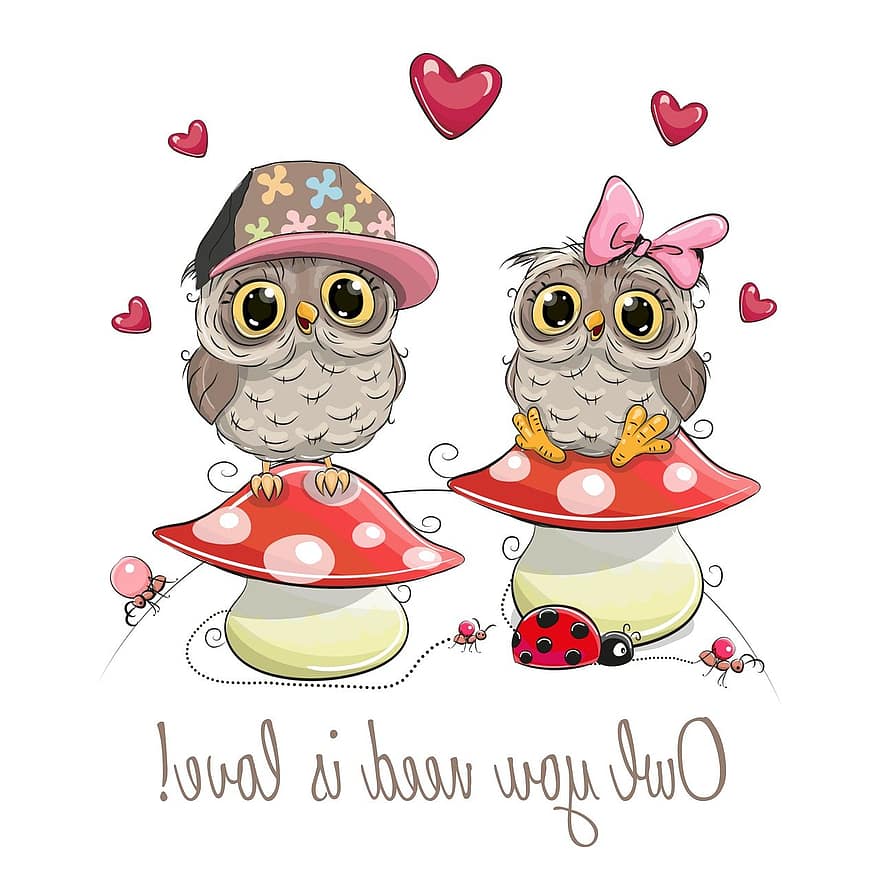 Owls, Couple, Hearts, Love