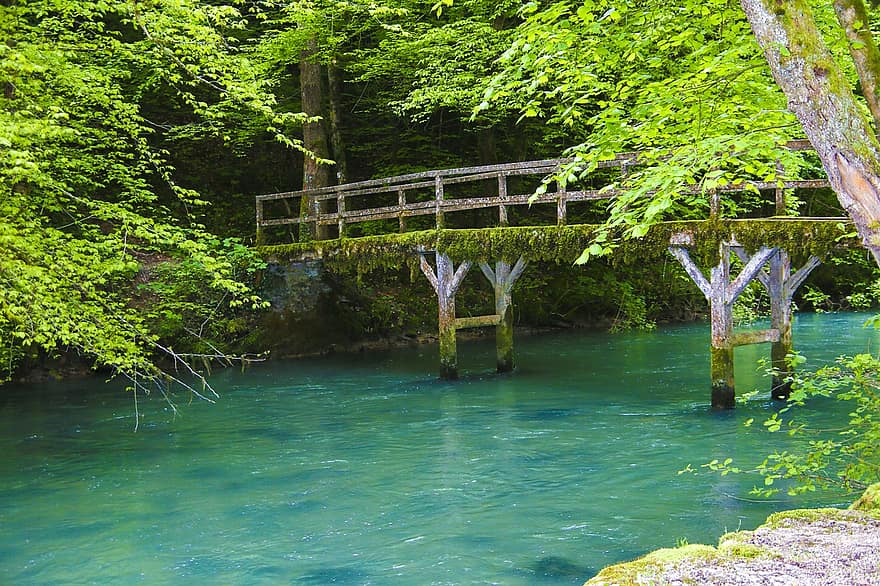 pont, rivière, la nature, des arbres, forêt, les bois, courant, l'eau bleue, clair, eau, arbre