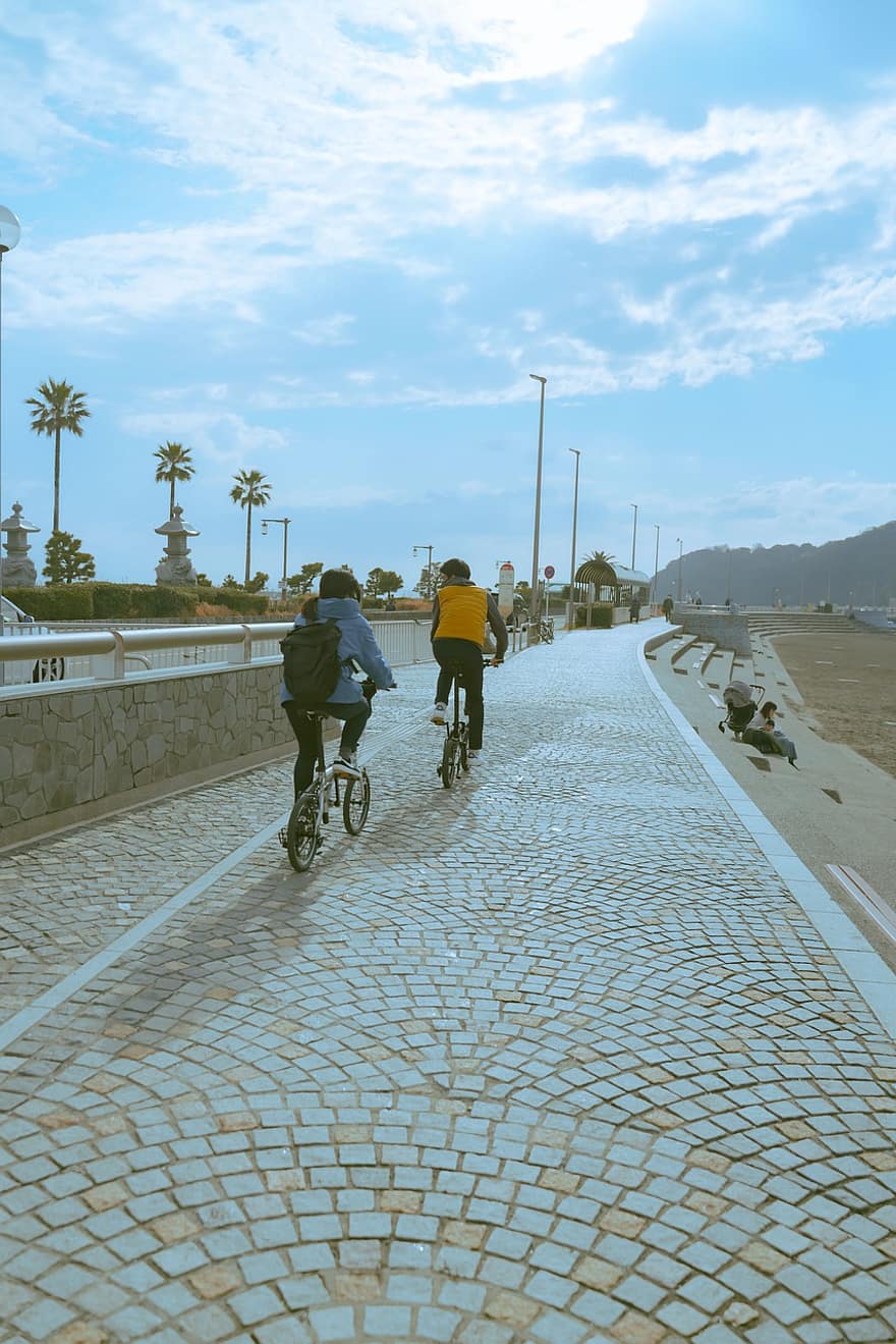 kerékpározás, kerékpárok, út, utca, fák, emberek, férfiak, kerékpár, utazás, nyári, nők
