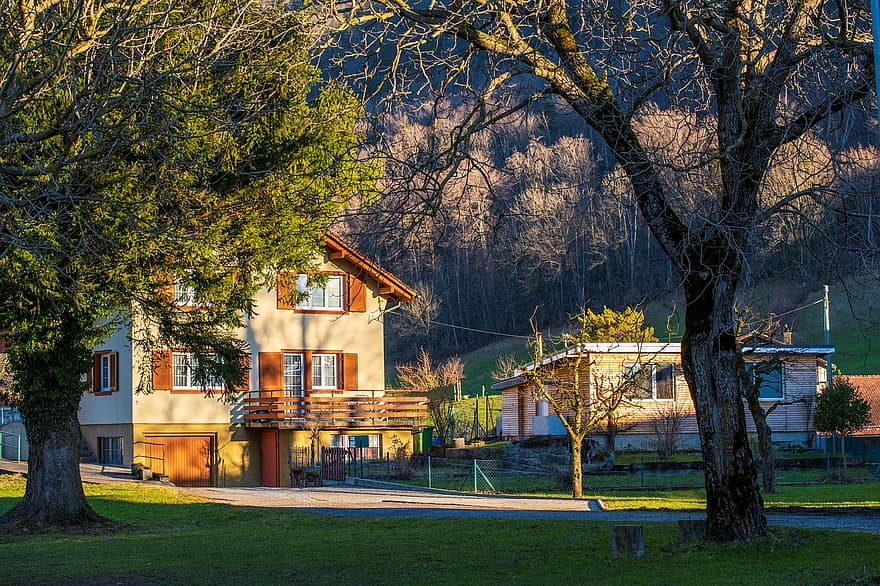 Brunnen, February, Winter, Landscape, tree, architecture, grass, rural scene, building exterior, wood, autumn