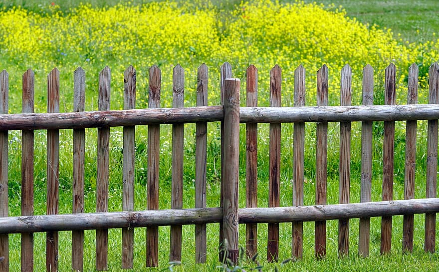 Flowers, Fence, Wood, Blossom, Bloom, Nature, Meadow, grass, rural scene, green color, summer