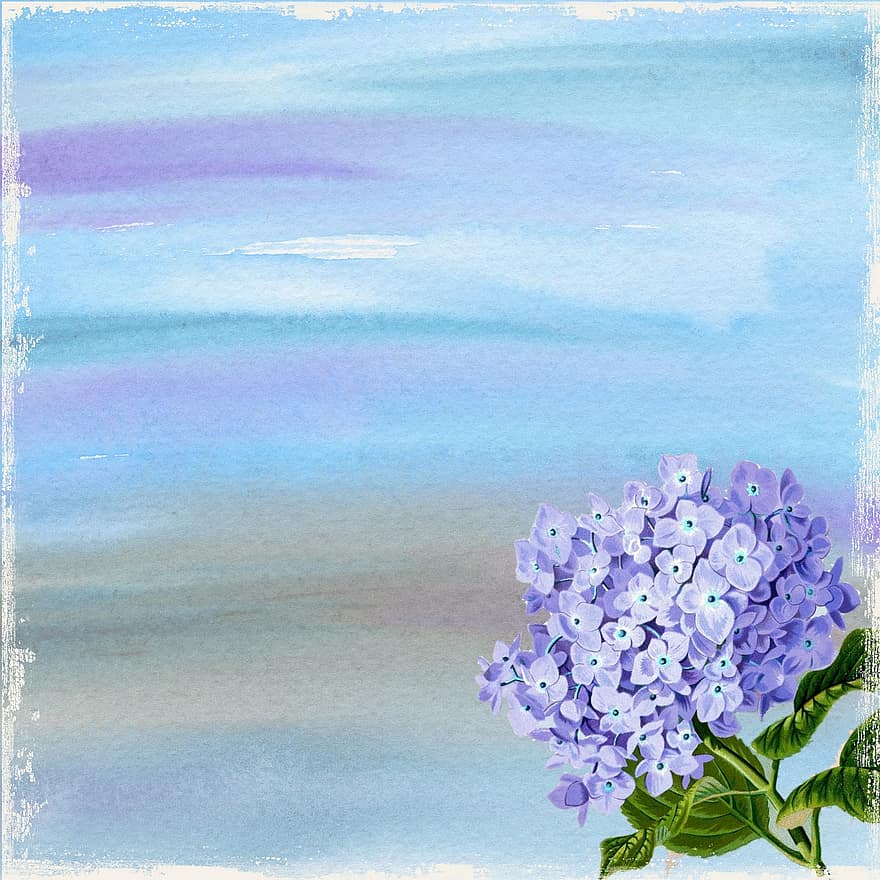 Background, Template, Blue, Purple, Stained, Scrapbooking, Beige, Soft, Floral, Watercolor, Empty
