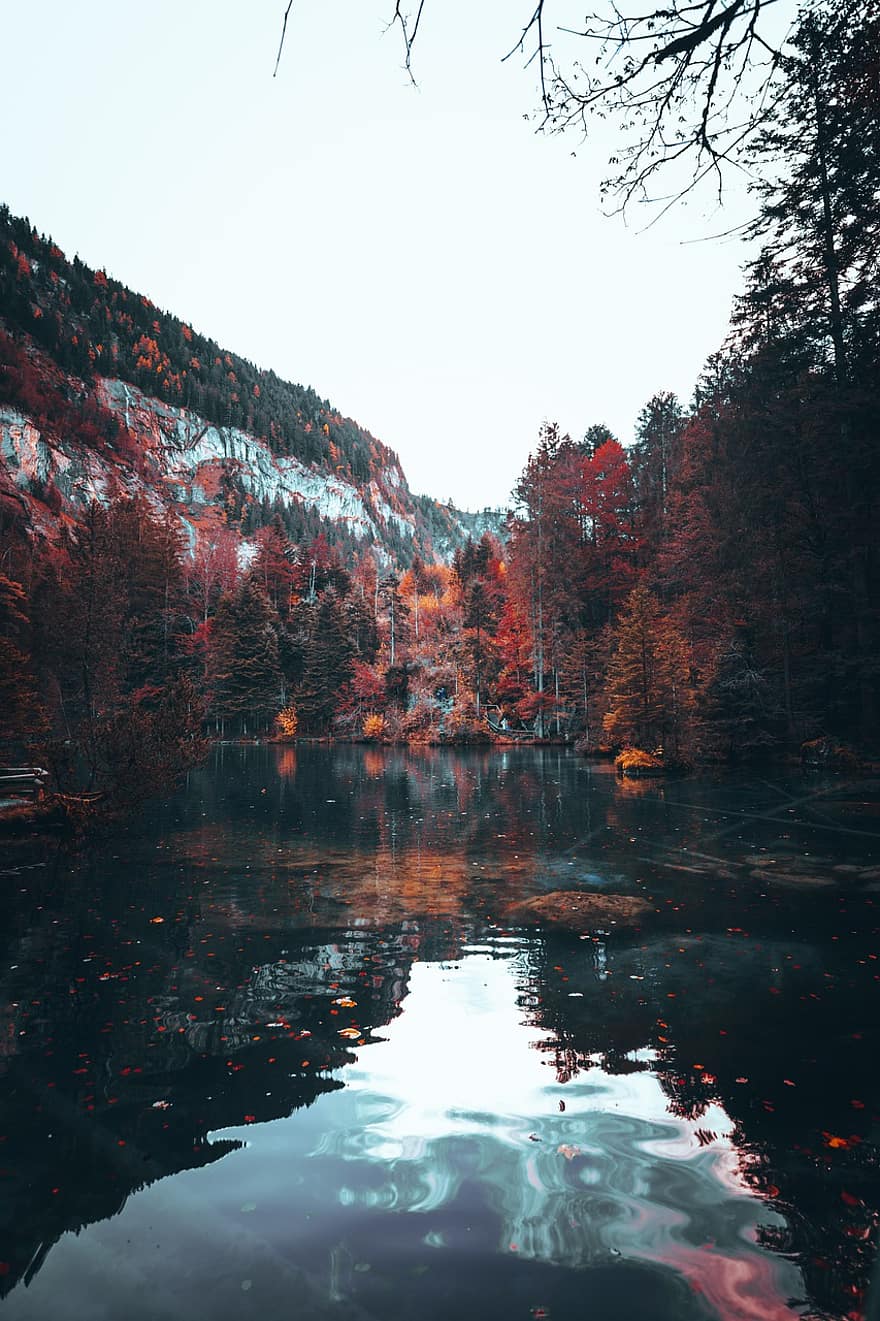 湖、森林、秋、自然、山、木、風景、水、反射、森の中、青