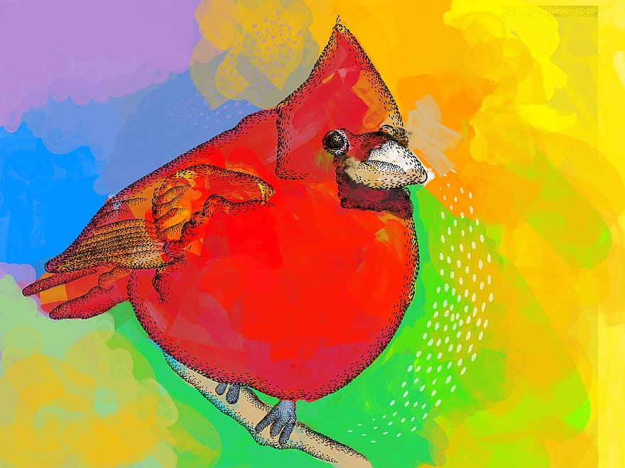 pták, akvarelu, grafický