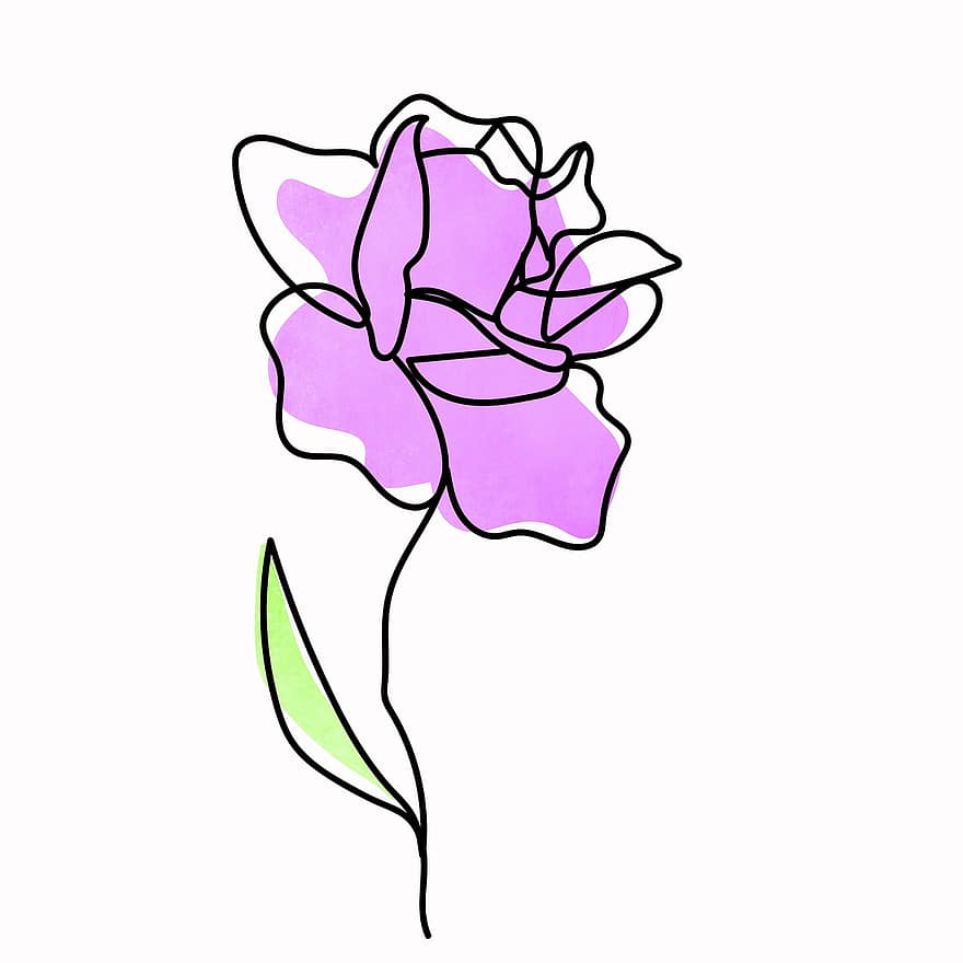 dibujo, Rosa, flor, línea, fondo, diseño, hoja, ilustración, planta, decoración, pétalo