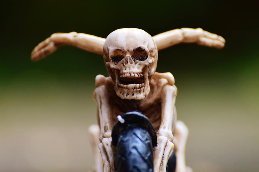 байкер, скелет, жутко, странный, украшение, страшно, кость, фильм ужасов, череп и кости, череп, кость черепа