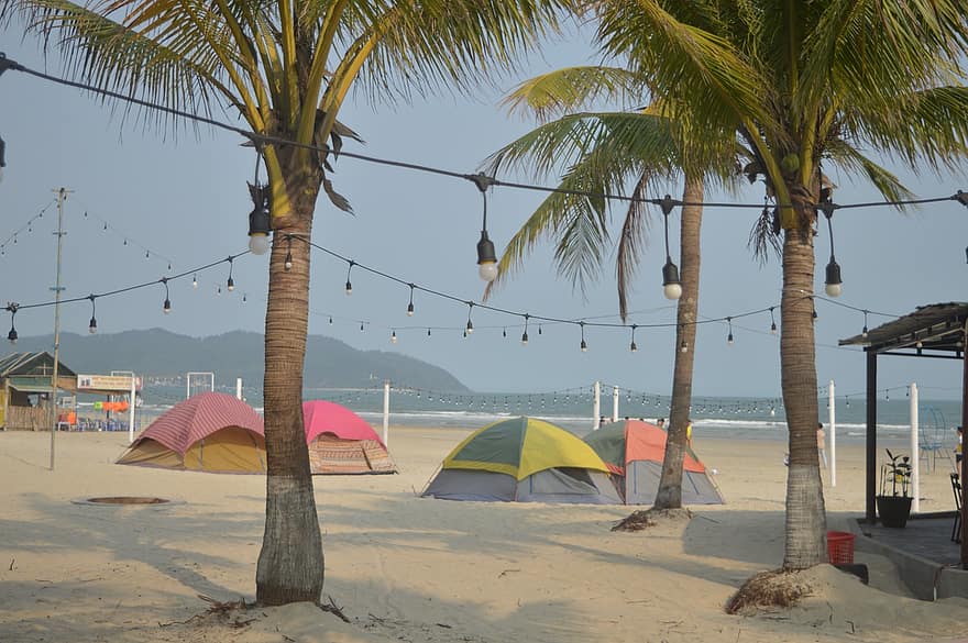 Strand, hav, kokosnøtter, sand, piknik, camping