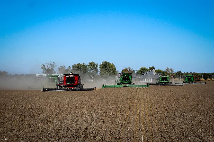 Harvest, Combines, Soybeans, Agriculture, Grain, Field, Tractor, Rural, Harvester, Harvesting, Farm