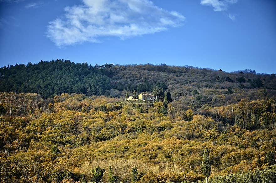 Villa, Trees, Hill, Sunset, Estate, Dusk, Rural, Countryside, Via Delle Tavarnuzze, Florence, Chianti