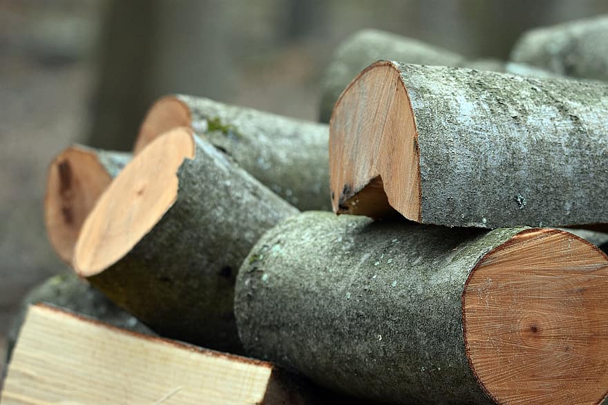 लकड़ी, जलाऊ लकड़ी, पेड़, बीच, छाल, ईंधन, ढेर, वन, प्रकृति, लकड़ी उद्योग, लॉग