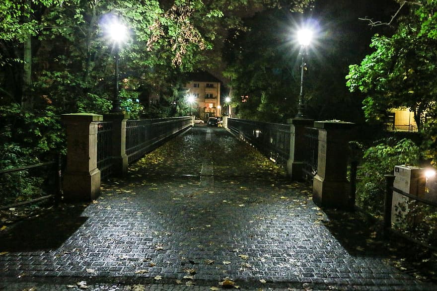 Braunschweig, nuit, l'automne, lanterne, pont, Orange, lampe, éclairage, feuilles, contribution, rouge