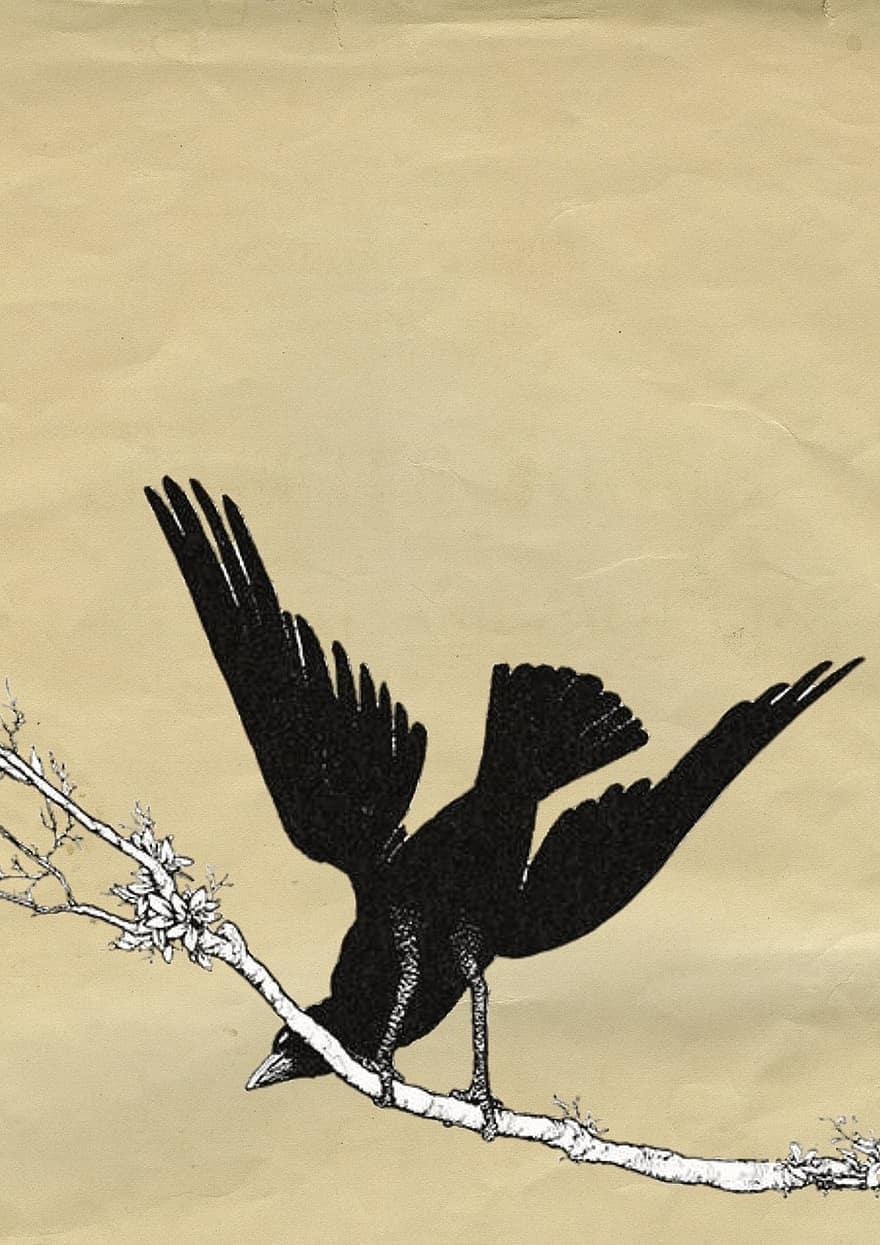Vintage, Bird, Background, Old, Paper, Branch, Wings, Silhouette, Decorative, Design, Nature