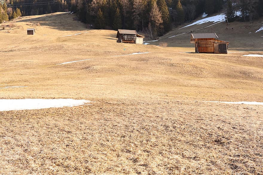chozas, prado alpino, naturaleza, campo, nieve, camino, sendero, colina, arboles, bosque, Tirol