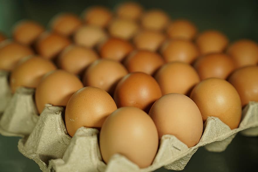Eier, Eierschalen, Tablett, Lebensmittel, Gastronomie, Zutaten, Tablett mit Eiern