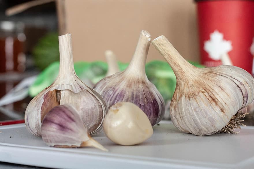 Bawang putih, Hardneck Garlic, siung bawang putih, lampu bawang putih, bahan, menghasilkan, organik, panen, segar, bawang putih segar, produk segar
