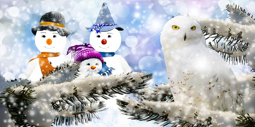 inverno, boneco de neve, coruja, natureza, pássaro, neve, árvore, pinho, geada, gelo, frio