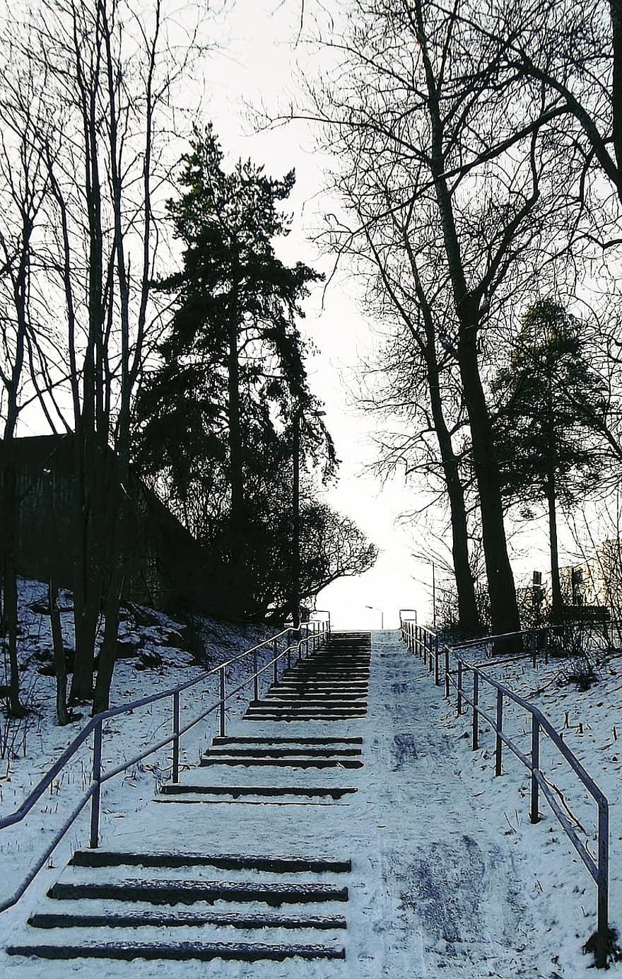 lépcsők, fák, hó, jég, fagy, fagyott, hideg, szabadban, téli, balkonok