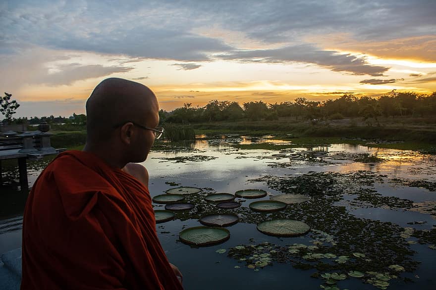estany de lotus, posta de sol, Sri Lanka, Velgam Vehera, homes, estiu, una persona, adult, budisme, aigua, escena tranquil·la