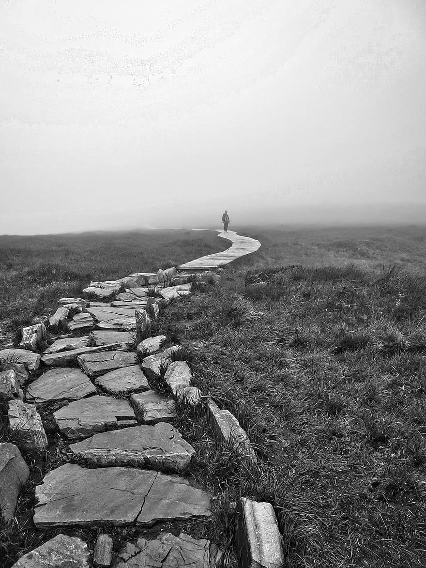 sentiero, nebbia, solitario, viaggio, mistero, paesaggio, erba, bianco e nero, montagna, scena rurale, prato