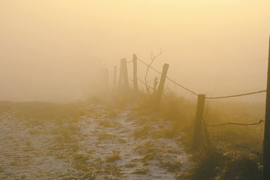 природа, пейзаж, ограда, ограда за пасища, мъгла, линия за мъгла