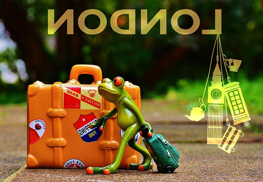žába, cestovat, prázdnin, zábava, legrační, postava, odejít, kabela, zvíře, na cestách, zavazadla