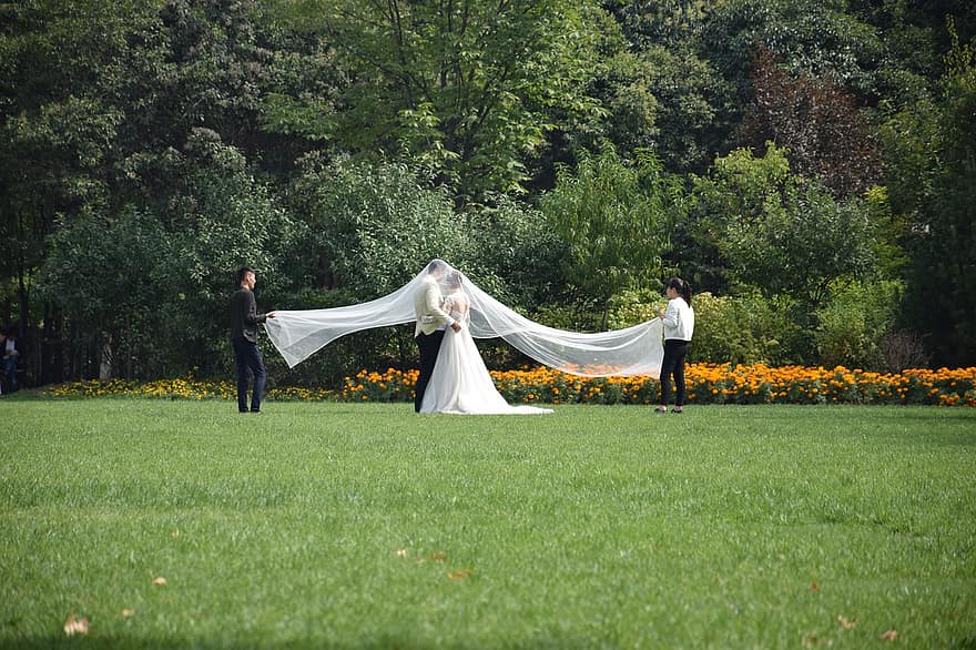 парк, свадебное платье