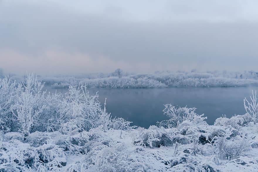 зима, природа, время года, на открытом воздухе, Енисейская, река, Сибирь, мороз, дерево, лес, снег