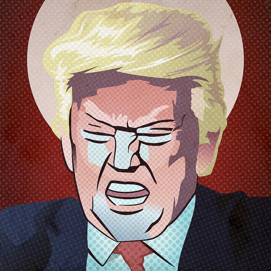 Доналд Тръмп, поп изкуство, президент, САЩ, Америка, нация, изражение на лицето, карикатура, модерно изкуство, Facebook, имитатор