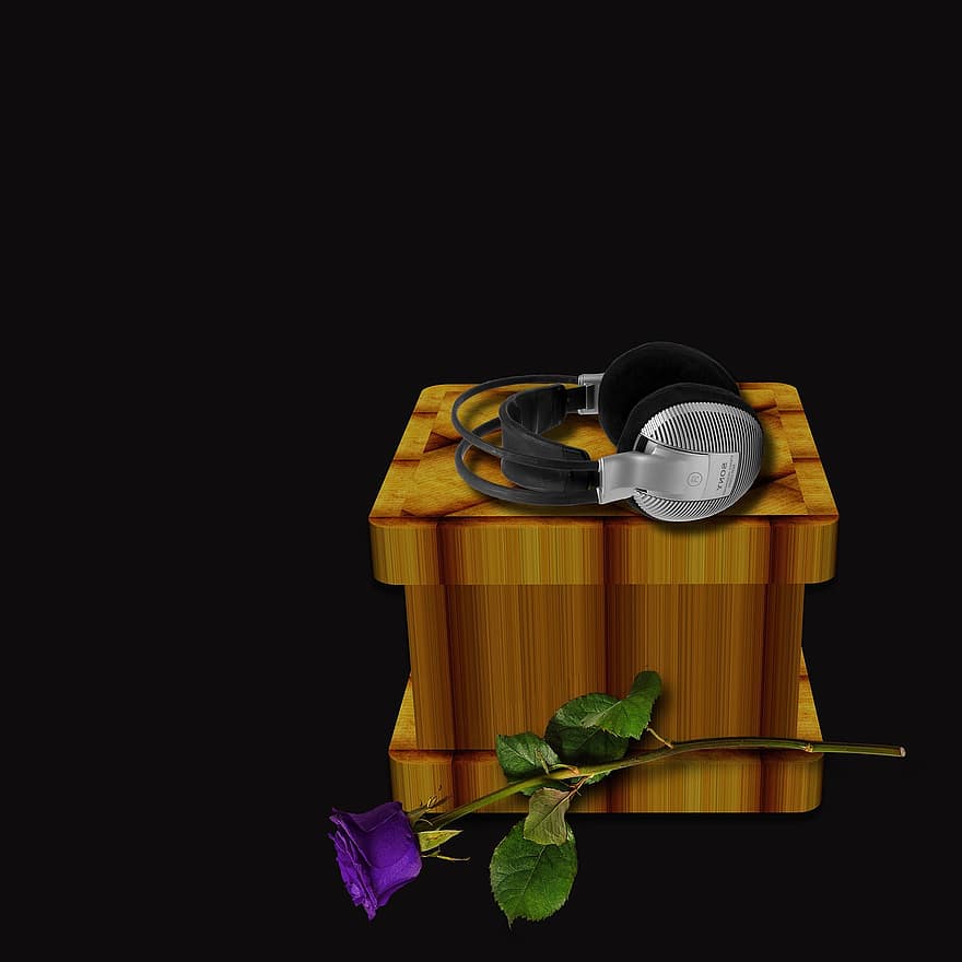 кутия, слушалки, музика, заден план, цвете, Rosa