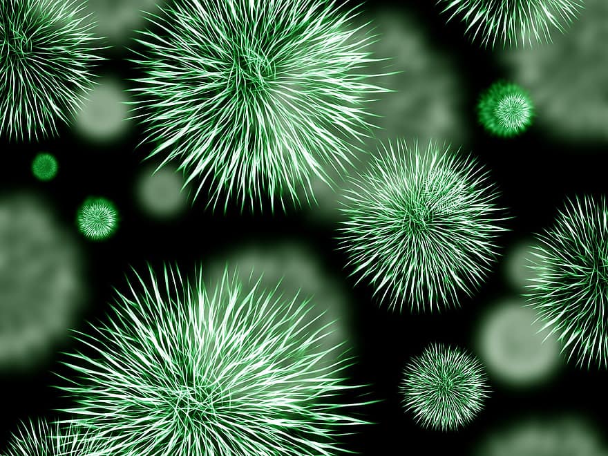 bakterie, patogen, infektion, grön, bakterier, mikrober, mikroskop, multiresistent, resistent, motstånd, stafylokock