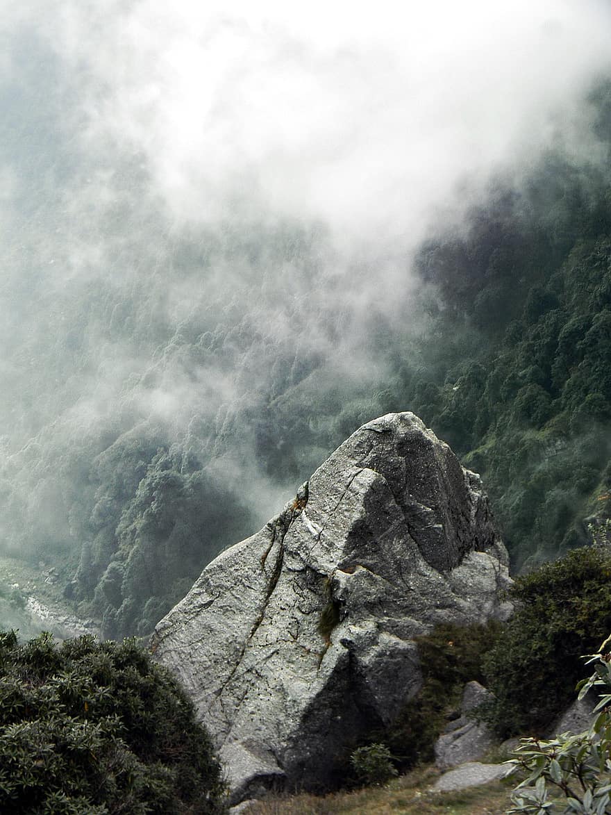 la nature, Voyage, brouillard, en plein air, exploration, pierre, forêt, Himachal Pradesh, triund, Montagne, aventure
