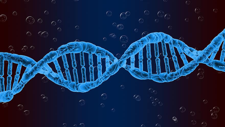 ДНК, генетика, биология, наука, медицински, изследване, генетичен, спирала, биотехнологиите, Blue Medical