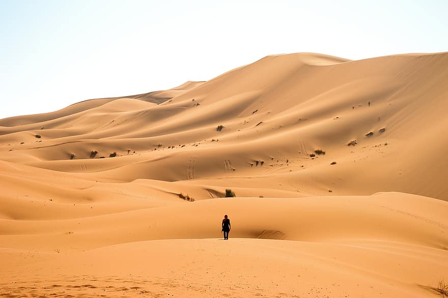 deserto, sabbia, duna, paesaggio, scenario, natura, destinazione del viaggio, sahara, marocchino