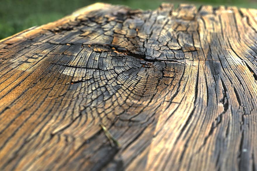 madeira, estrutura, textura, árvore, fundo, superfície, grão, registro, natureza