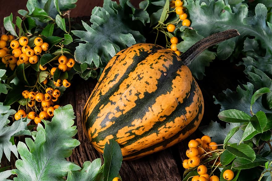 dynia, dynie, halloween, jesień, owoc, październik, jedzenie, żniwa, dekoracja, święto Dziękczynienia, pora roku
