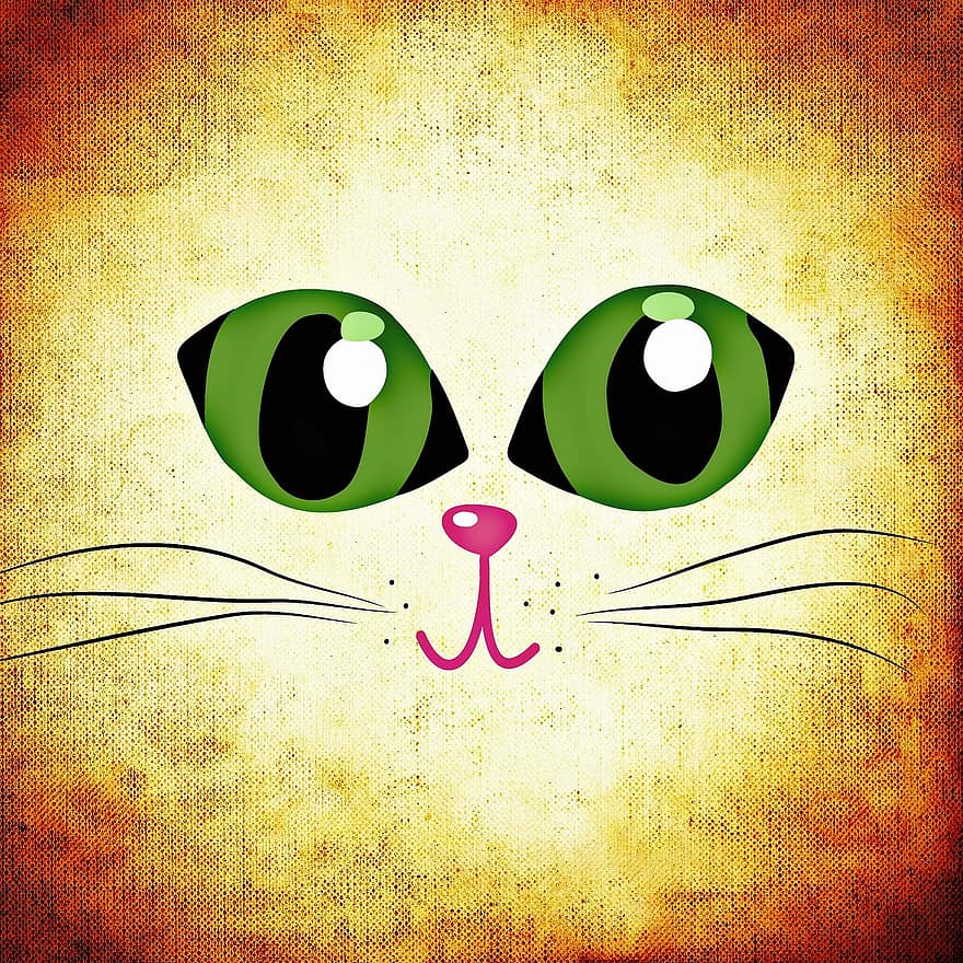 очи, котешки очи, забавен, котка, животно, сладък