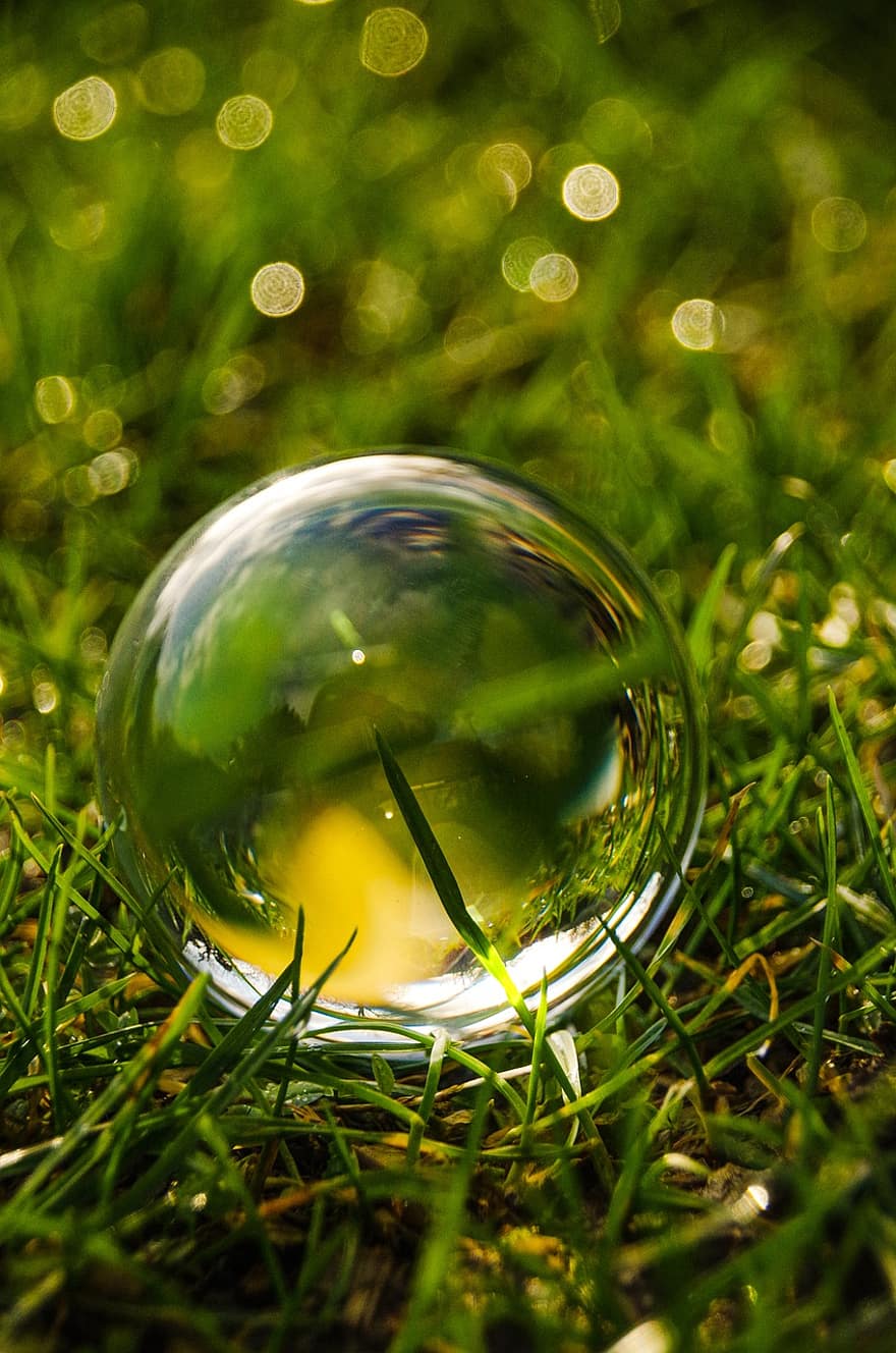 Nature, Photography, Lens Ball, Grass, green color, summer, close-up, glass, sphere, environment, meadow