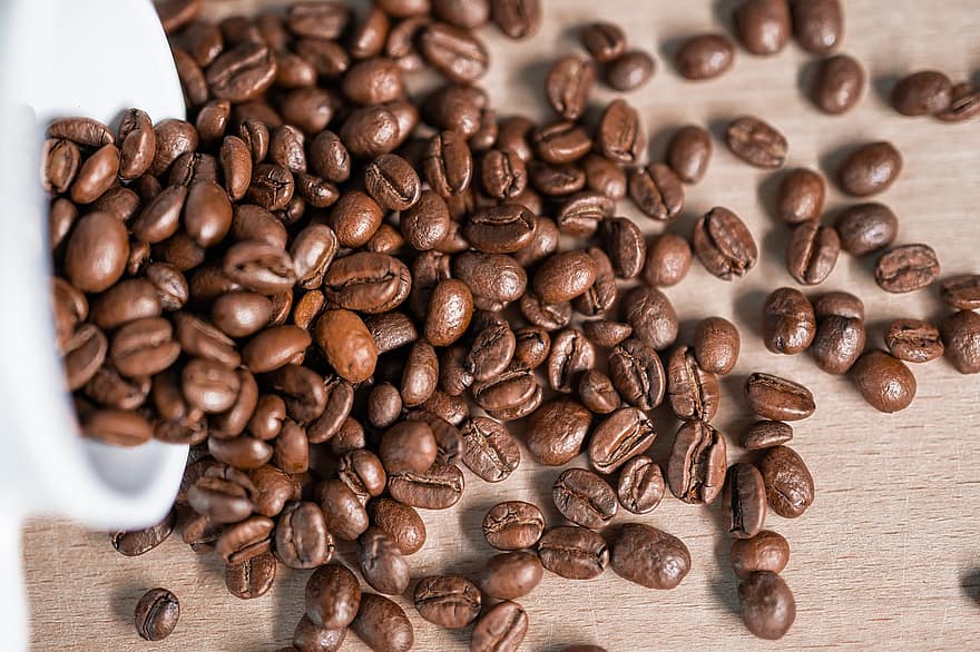 hạt đậu, cafein, cà phê, uống, cà phê espresso