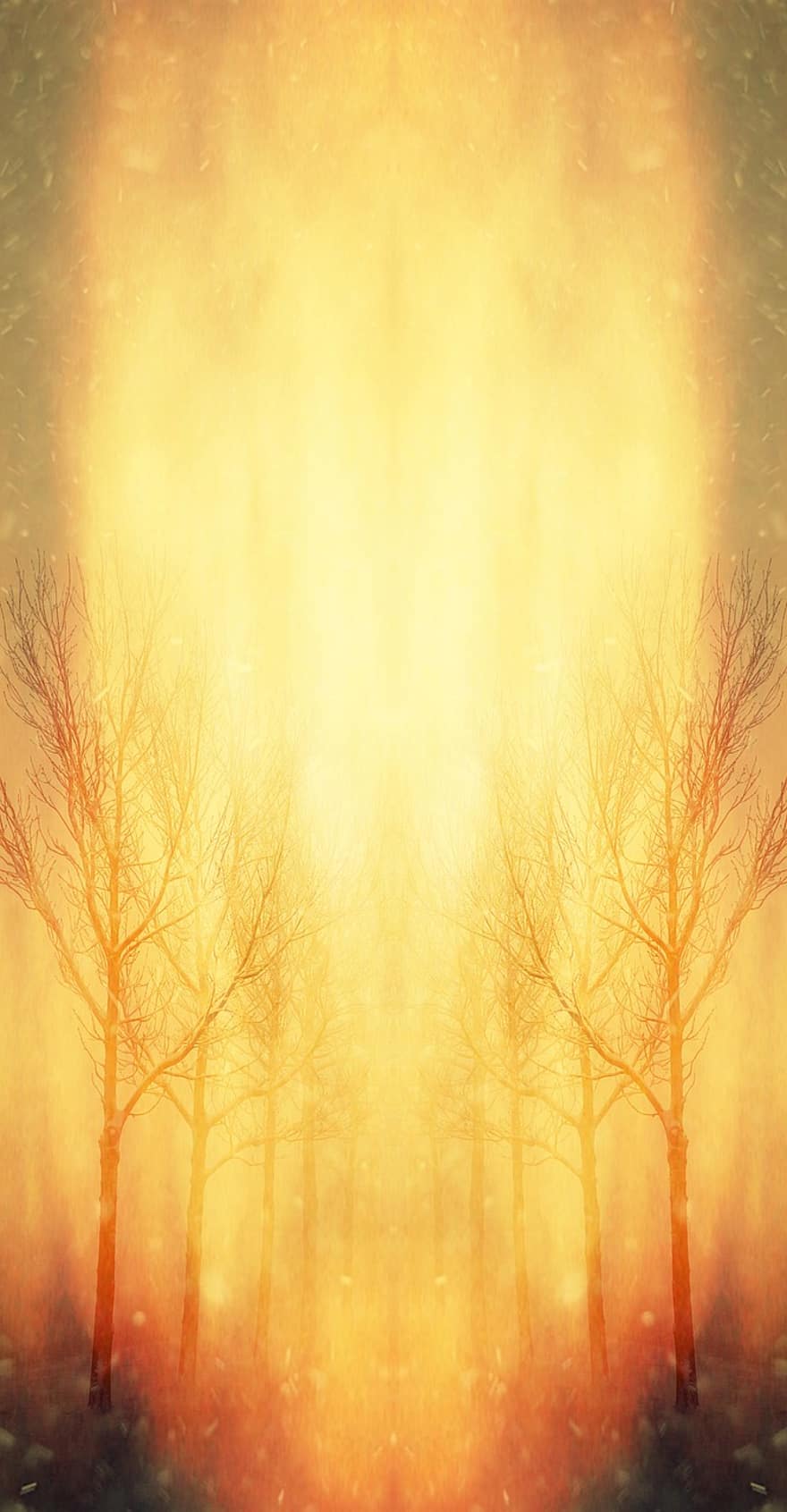 дървета, нереален, фантазия, мистична, композиране, атмосфера, тайнствен, магия, мъгла, странен, светлина