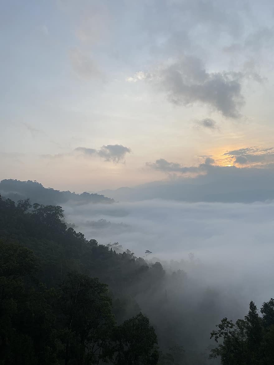 雲、山、日の出、空、霧、森林、自然、夜明け、朝
