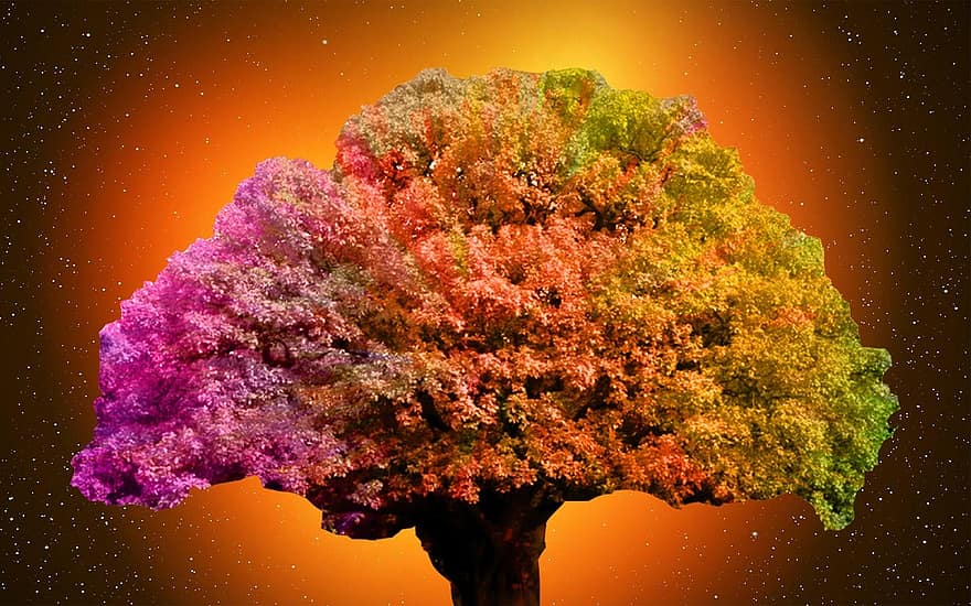 árvore, colorida, amarelo, espaço, cores