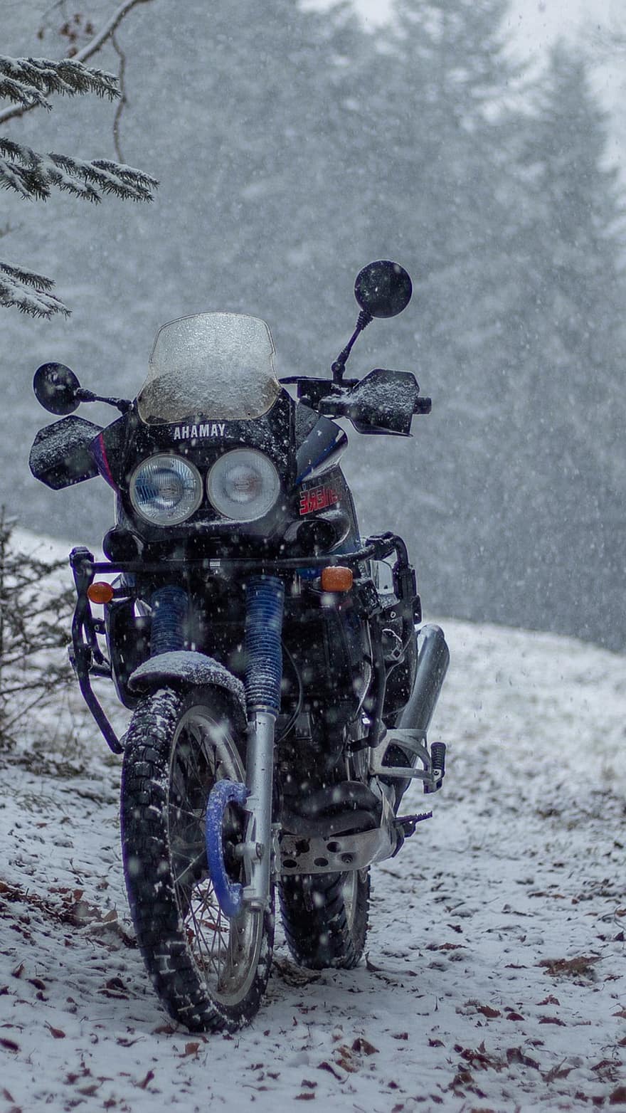 Motorrad, Winter, Jahreszeit, Schnee, Sport, Extremsportarten, Geschwindigkeit, Transport, Abenteuer, Motor, Motorradrennen