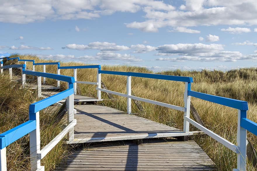 duin, strand, gras, voetbrug, houten pad, zee, hout, blauw, zomer, landschap, promenade
