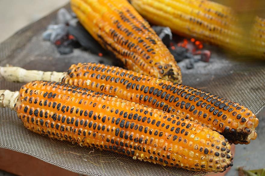 кукуруза, кукуруза в початках, обжиг, золотой, сладкая кукуруза, уголь, гриль, здоровый, уличная забегаловка, рынок, питание