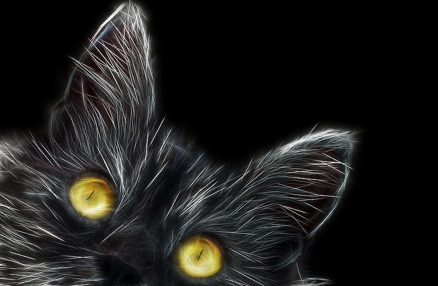 μάτια, χρυσά μάτια, μάτια της γάτας, καμουφλάζ, αιλουροειδής