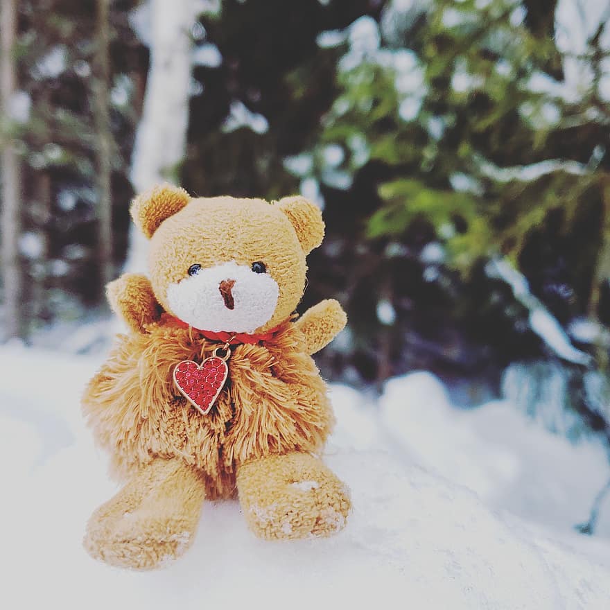 Nature, Snow, Bear, Toy, Kids, A Heart, Love, Romance, Beauty, Forest, teddy bear