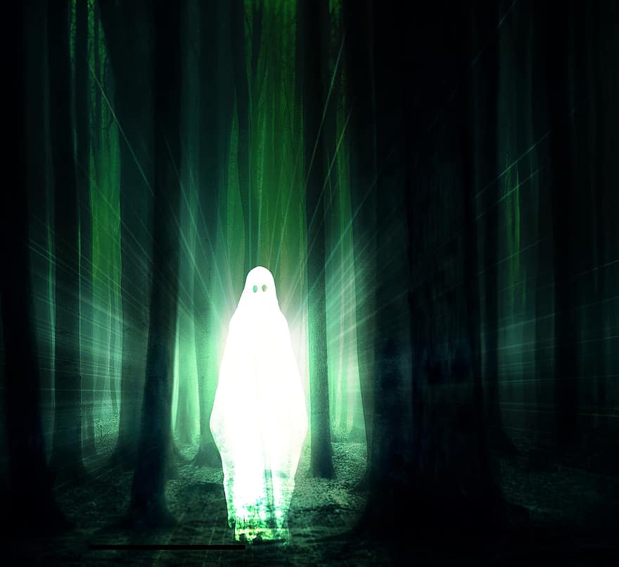 rædsel, spøgelse, Skov, fantasi, glød, lys, ånd, mystisk, træer