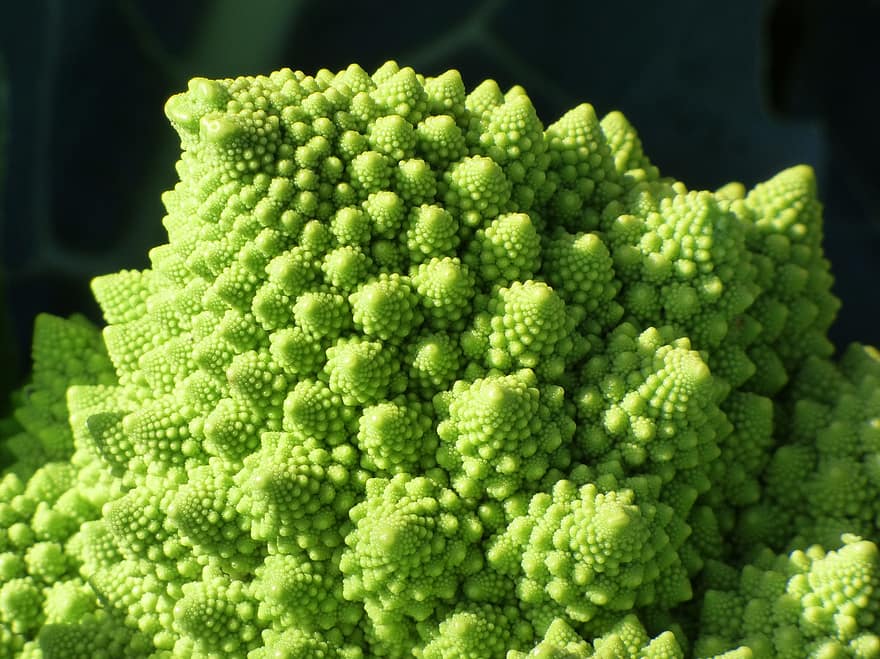 broccoli, spiral-, fraktal, former, bakgrund